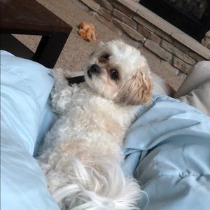 Meet your Posher, Blake